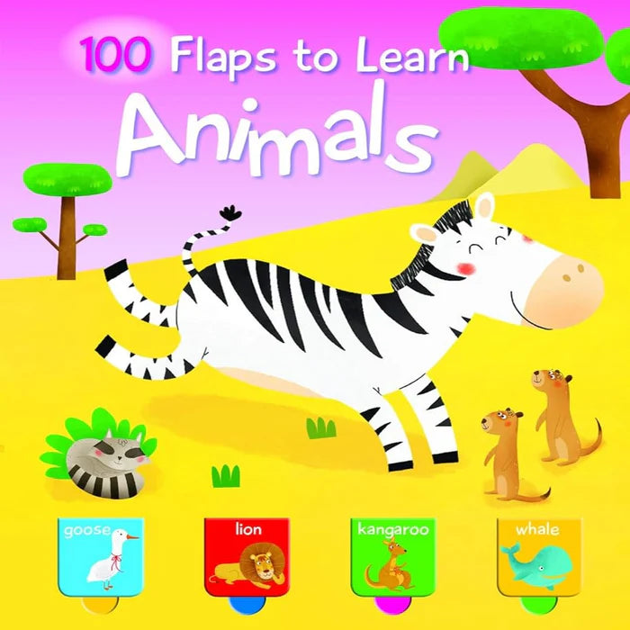 100 Flaps To Learn