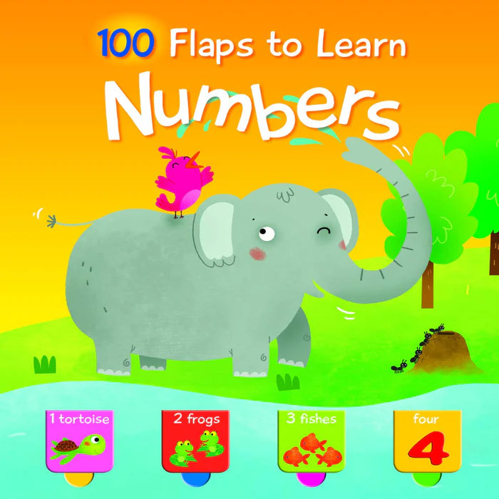 100 Flaps To Learn