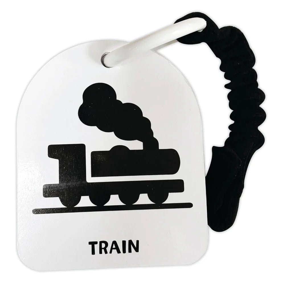 Baby's First Flash Cards