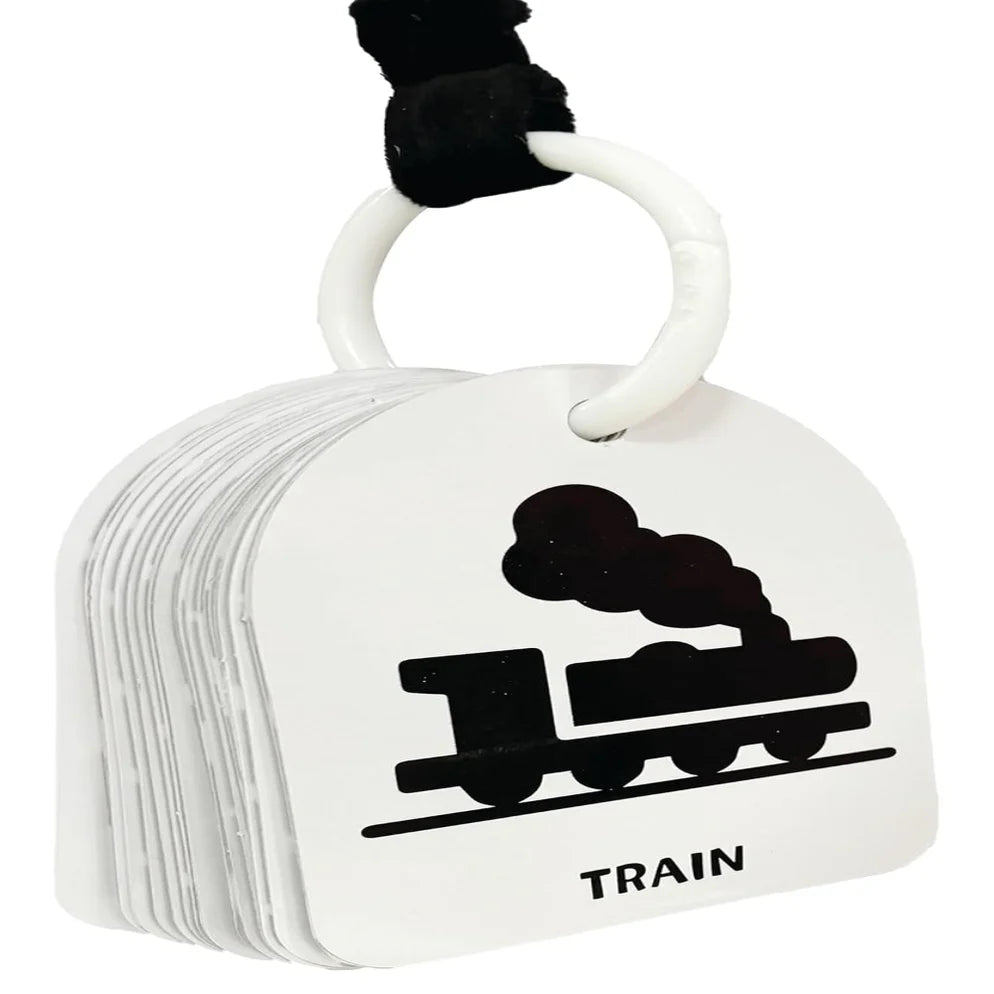 Baby's First Flash Cards