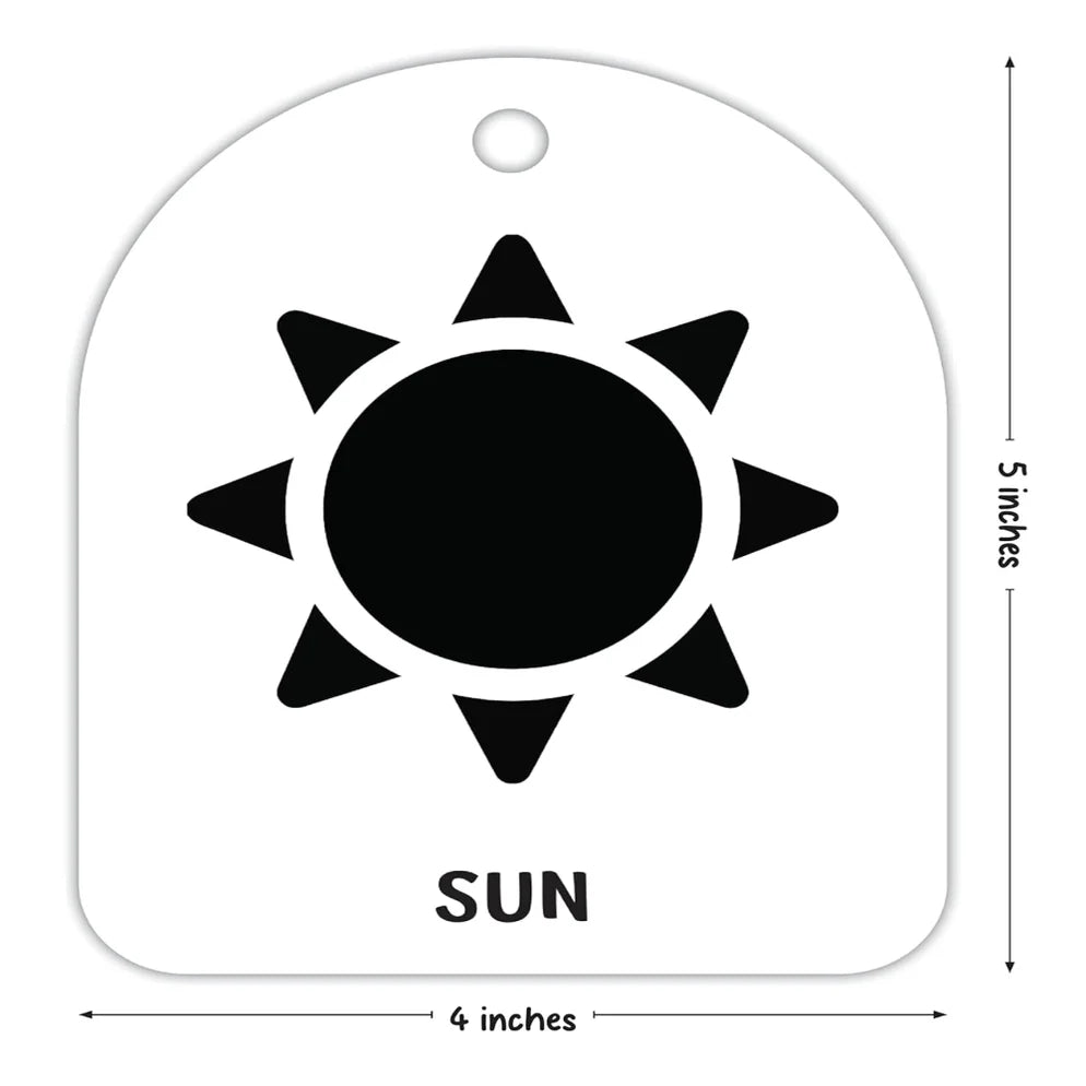 Baby's First Flash Cards