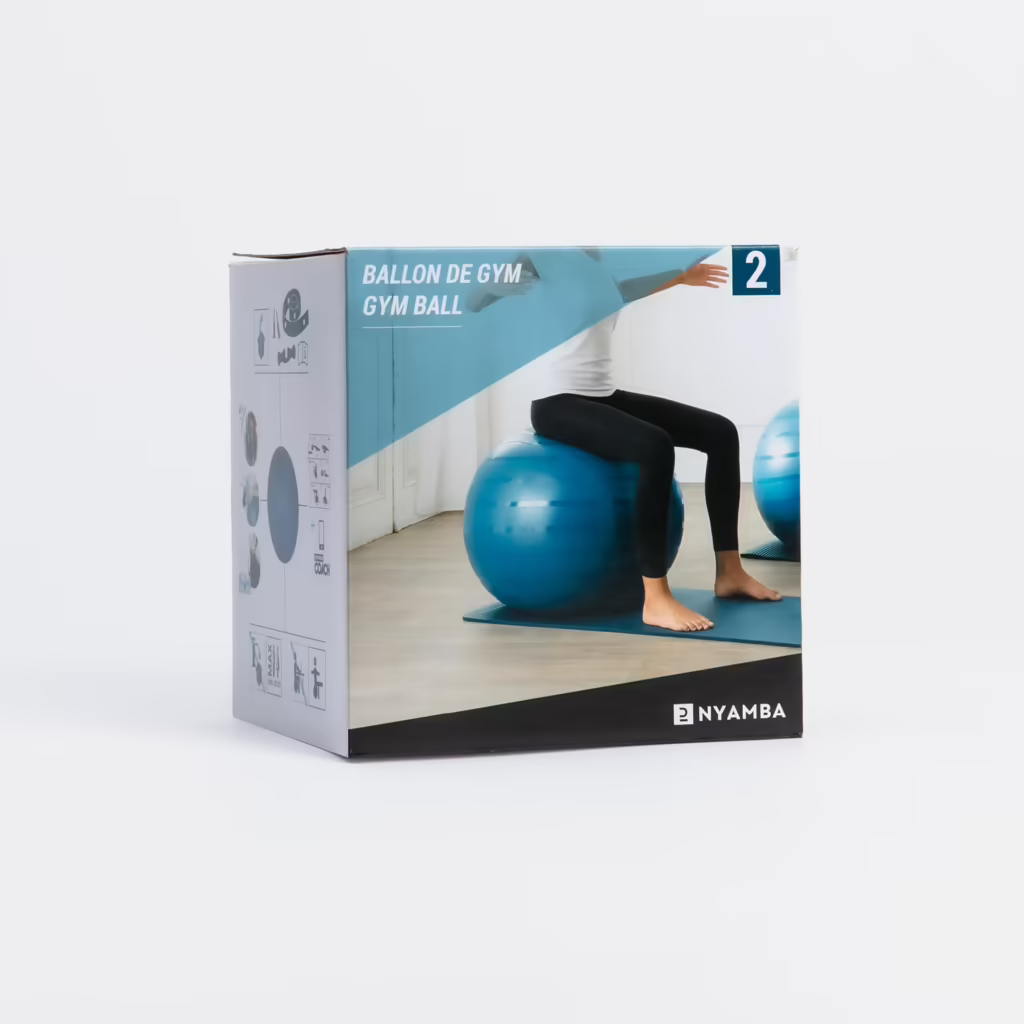 Gym Ball / Swiss Ball with Pump