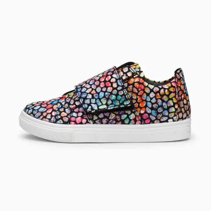 Candypop (Multicolour)