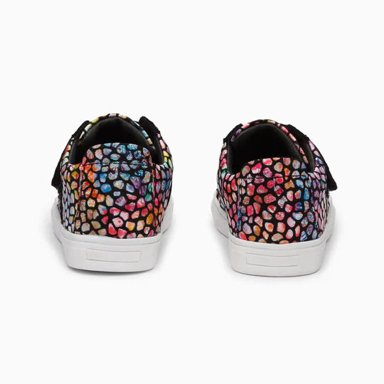 Candypop (Multicolour)