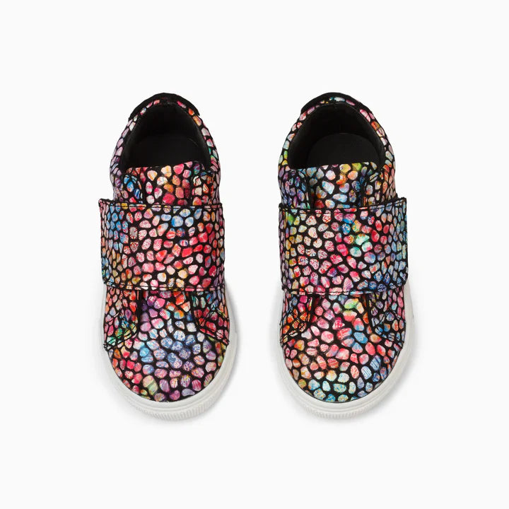 Candypop (Multicolour)