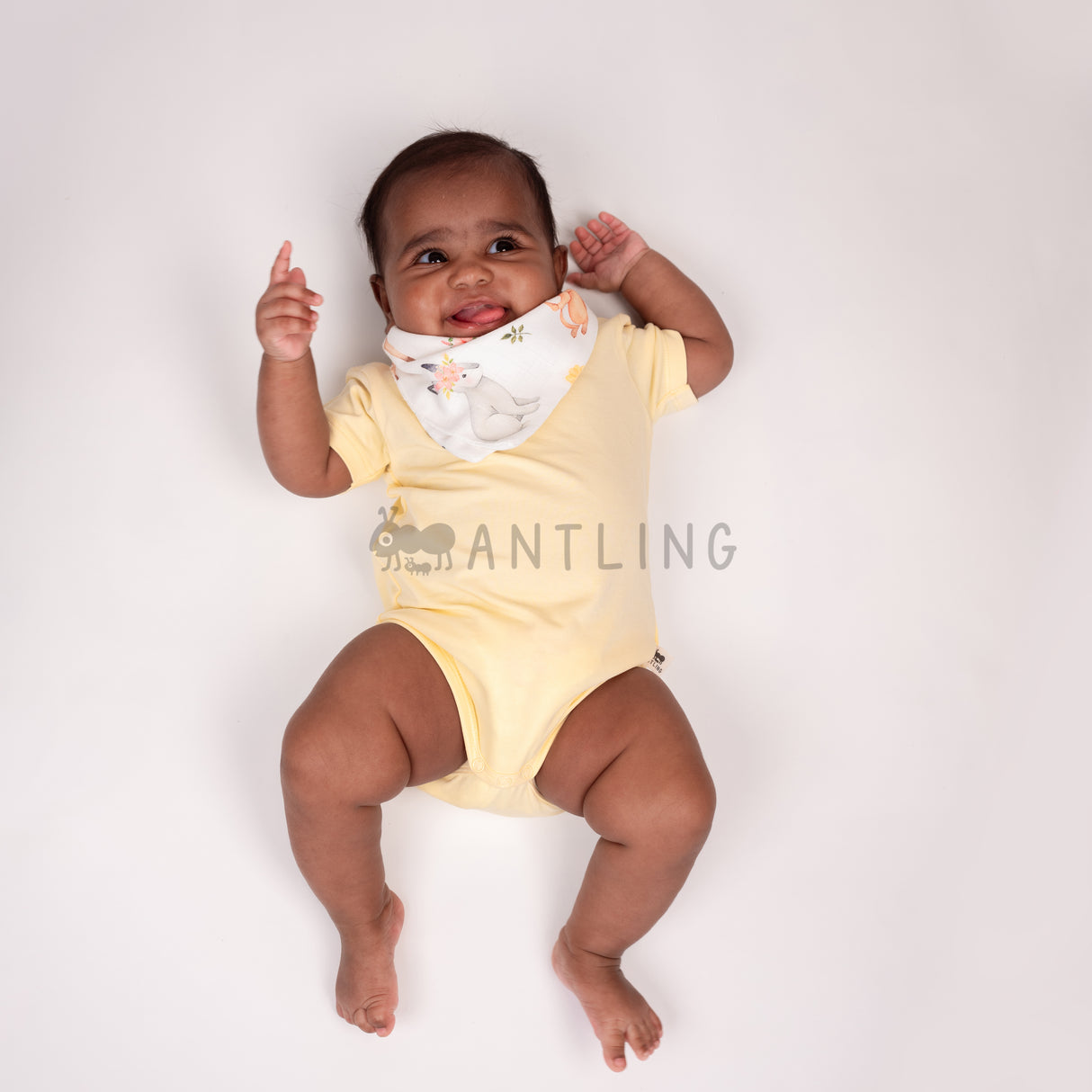 Premium Muslin Bib cum Wash Cloth (2 layers) - Pack of 3 prints