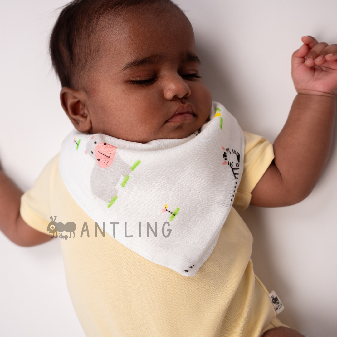 Muslin Bib cum Wash Cloth (2 layers) - Pack of 4 prints