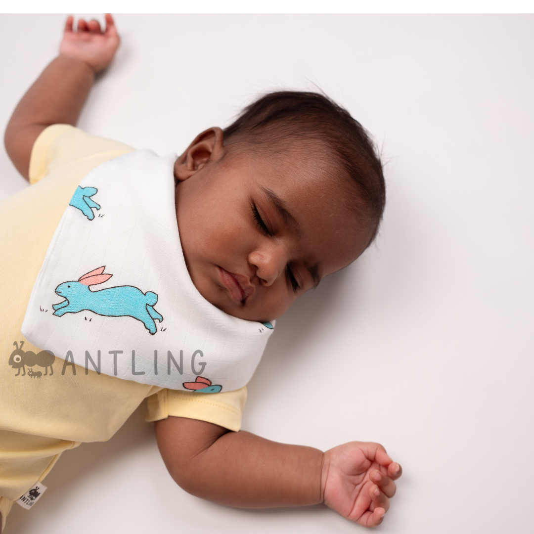 Muslin Bib cum Wash Cloth (2 layers) - Pack of 4 prints