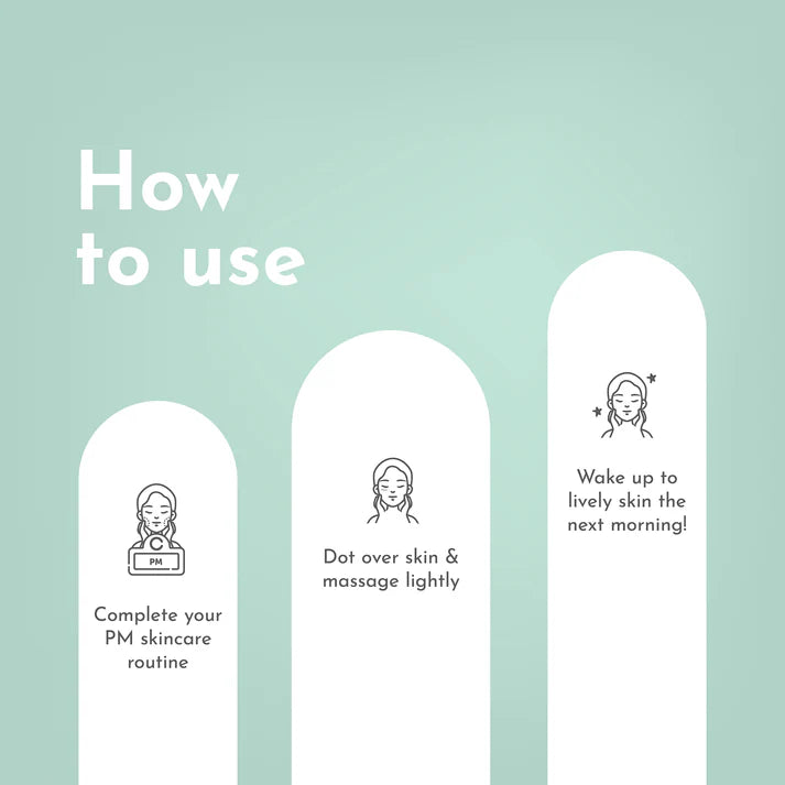 Overnight Reset Facial Mask