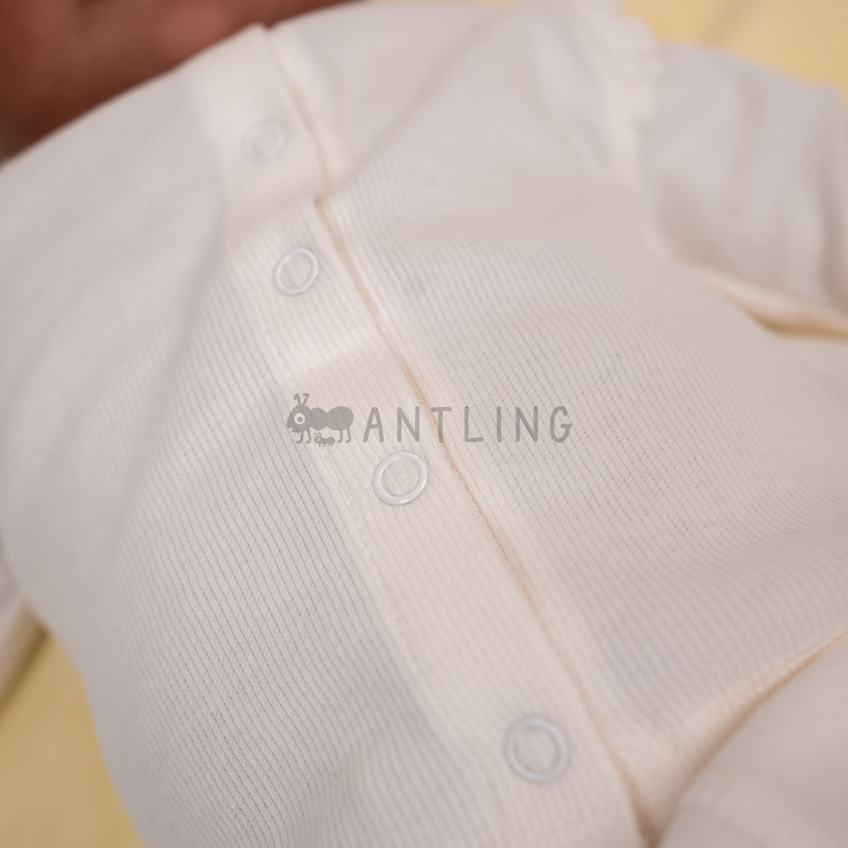 Premium Ruffle Collar Co-ords - Ecru