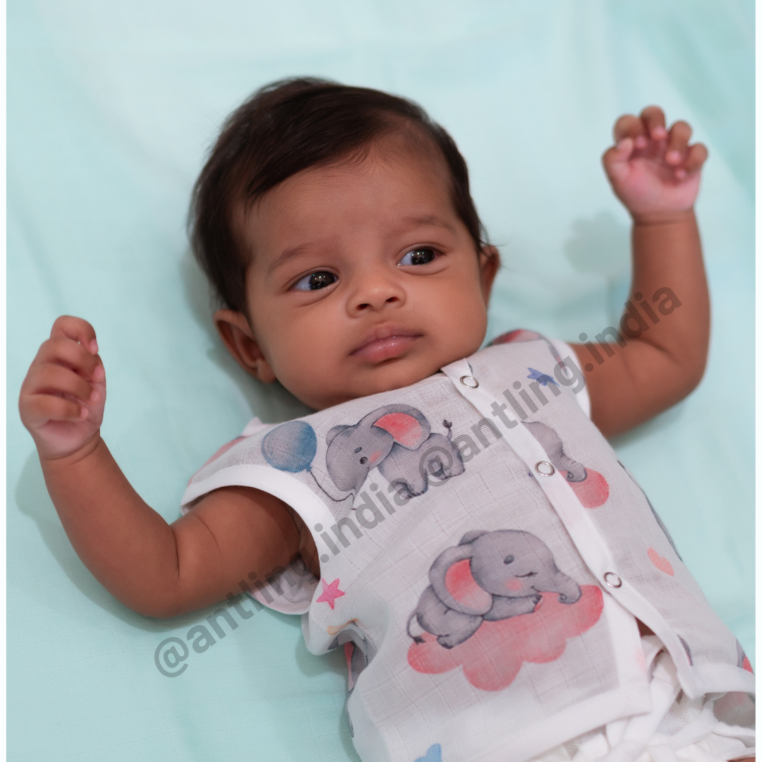 Premium Muslin Jabla - Elephant Dreams