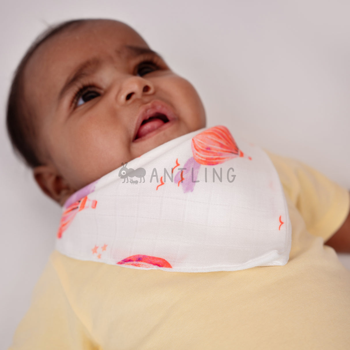 Premium Muslin Bib cum Wash Cloth  (2 layers) - Pack of 4 prints