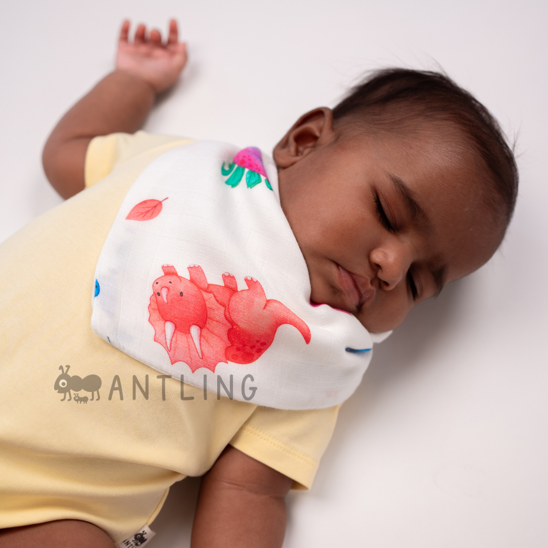 Premium Muslin Bib cum Wash Cloth  (2 layers) - Pack of 4 prints