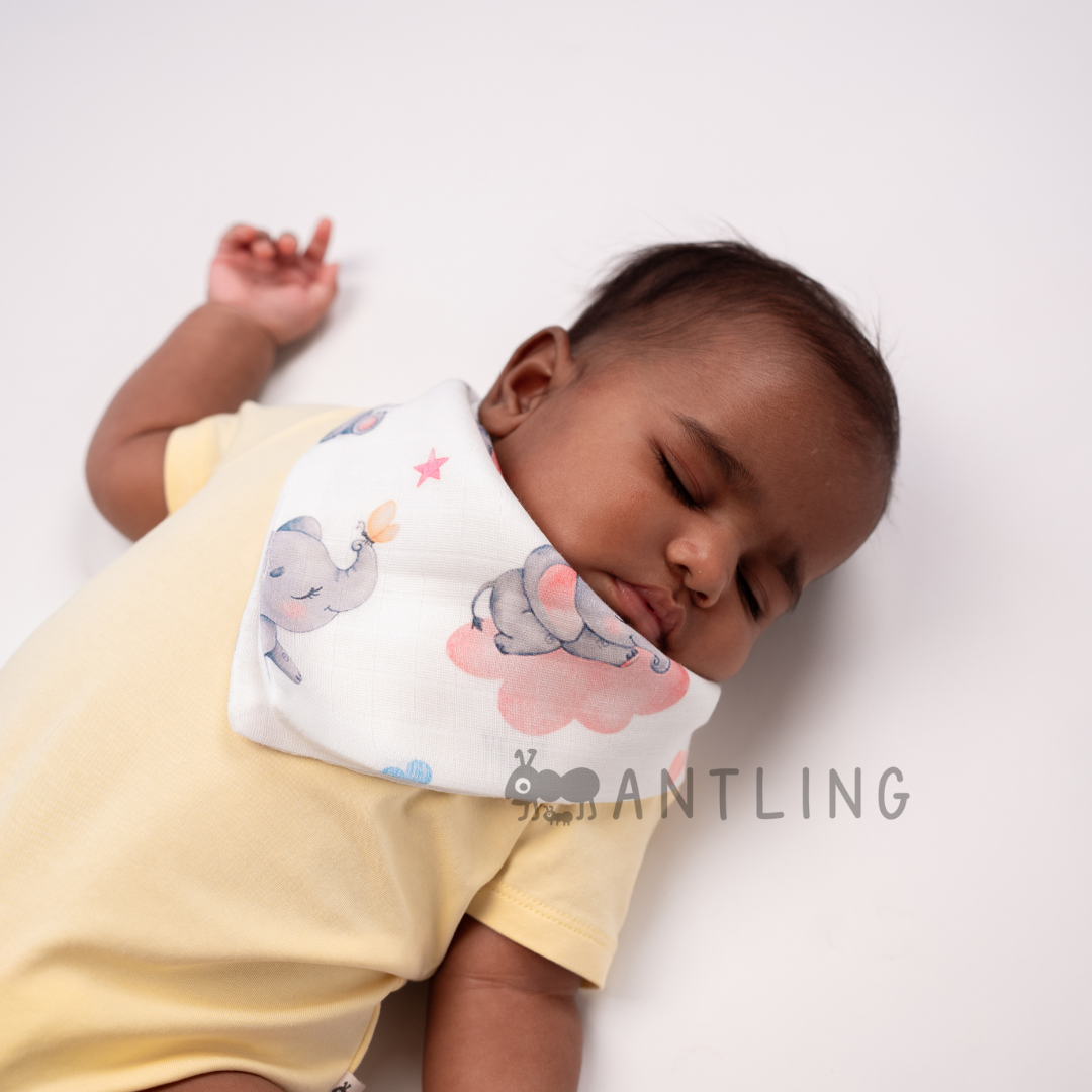 Premium Muslin Bib cum Wash Cloth (2 layers) - Pack of 3 prints