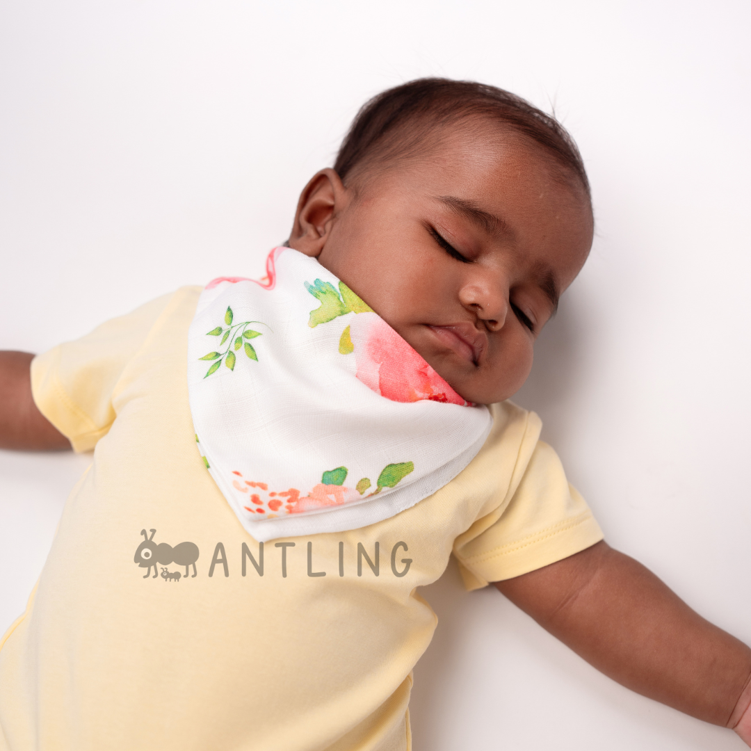 Premium Muslin Bib cum Wash Cloth  (2 layers) - Pack of 4 prints