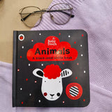 Baby Touch : A Black And White Book - Board Book