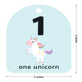 Baby's First Flash Cards