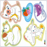 Avenir Crayon Activity Kit