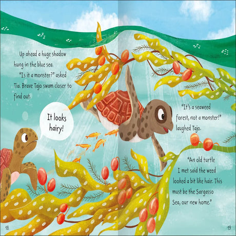 Stories From The Sea - Picture Book