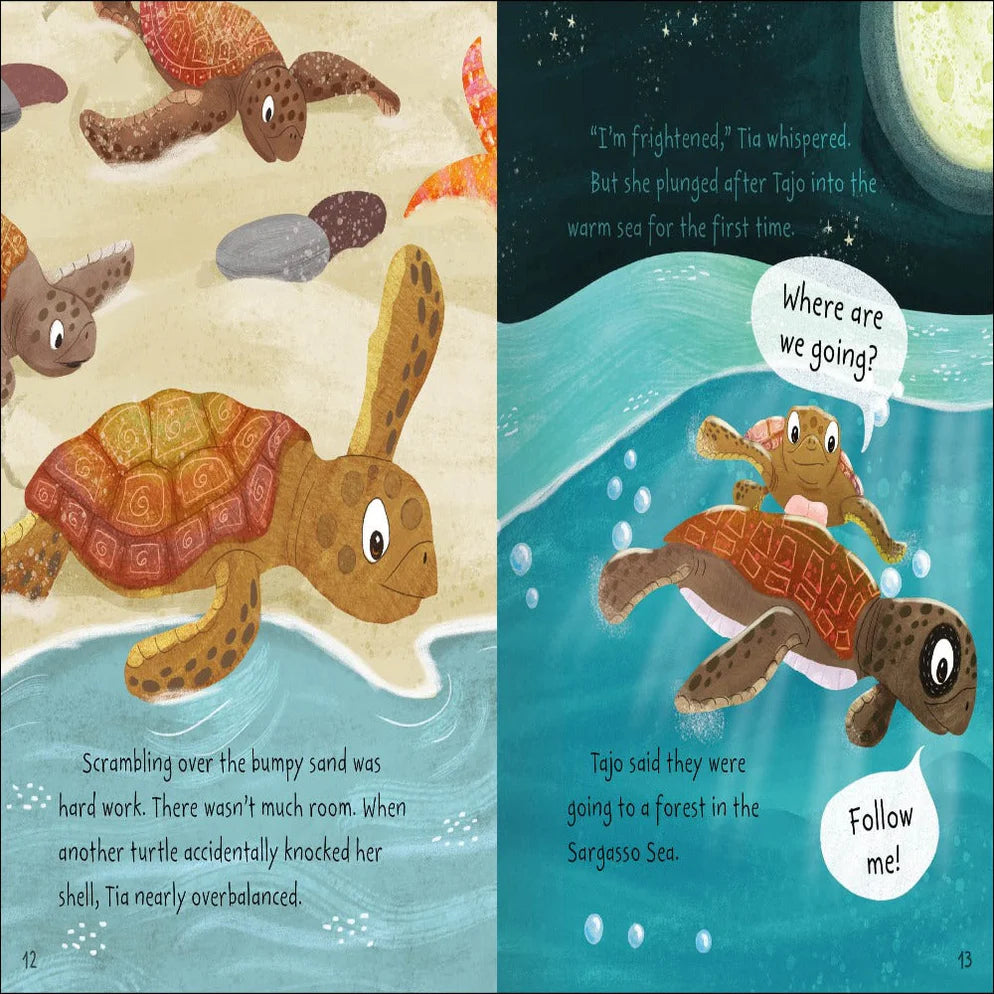 Stories From The Sea - Picture Book