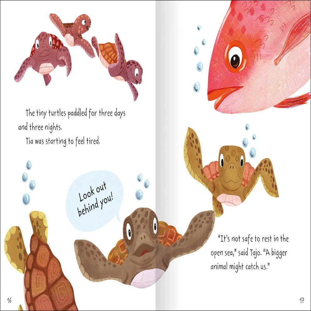 Stories From The Sea - Picture Book