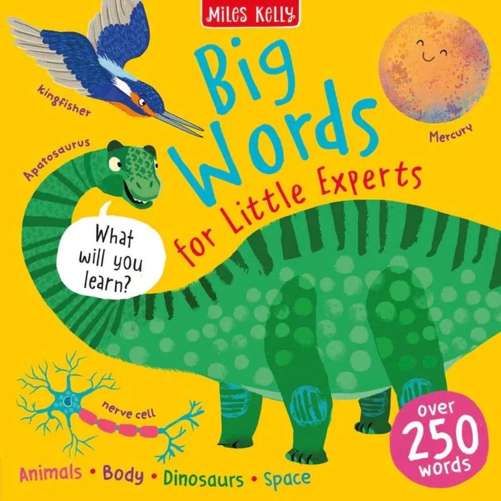 Miles Kelly Book For Little Experts - Picture Book