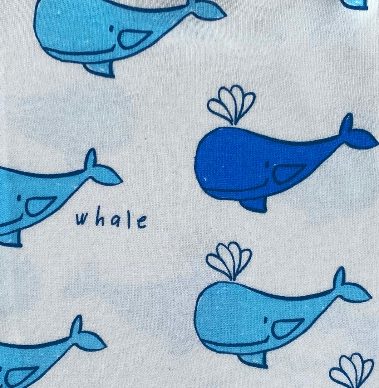 Co-ords - Whale