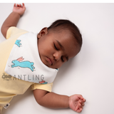 Muslin Bib cum Wash Cloth  (2 layers) - Pack of 4 prints