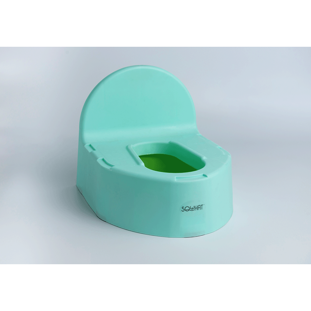 Potty Seat for Potty Training