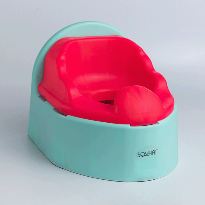 Potty Seat for Potty Training