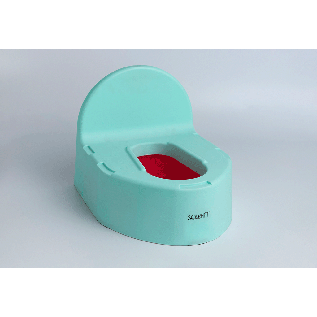 Potty Seat for Potty Training