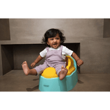 Potty Seat for Potty Training