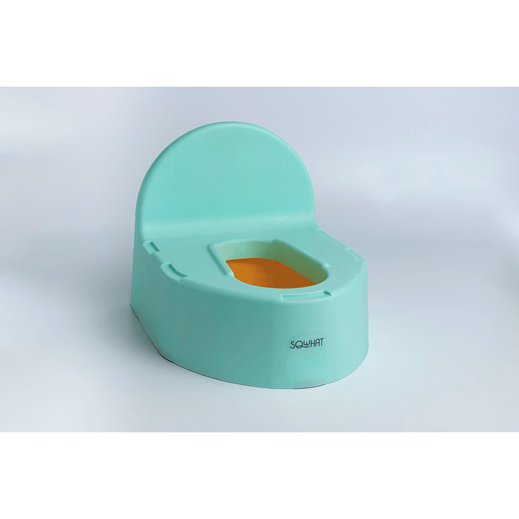 Potty Seat for Potty Training