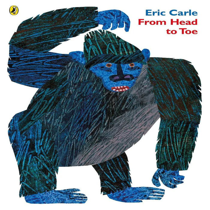 From Head To Toe - Picture Book