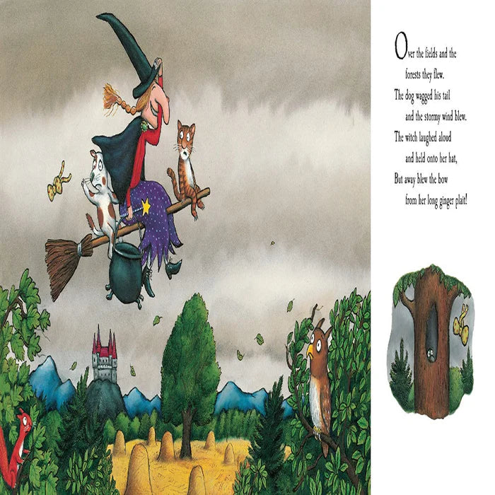 Room on the Broom - Picture Book